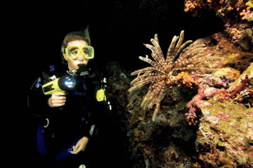Nieuwe Duikavonturen! - Advanced Open water Diver
